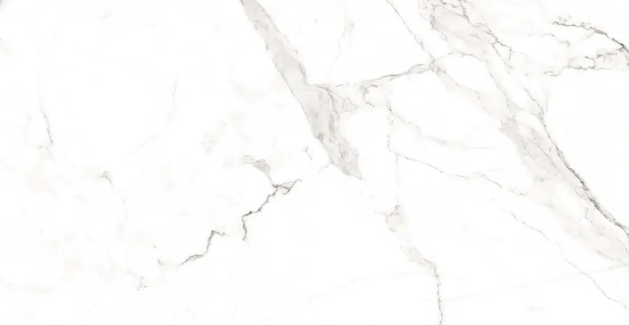 Плитка керамогранитная AZARIO STATUARIO CLASSIC 60х120 Matt (F2020821120M)