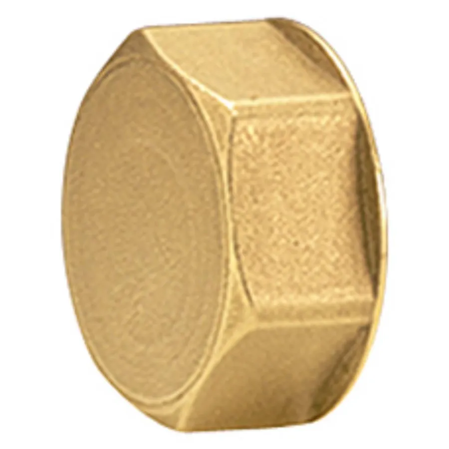 Пробка для коллектора Giacomini 3/4", R594Y005