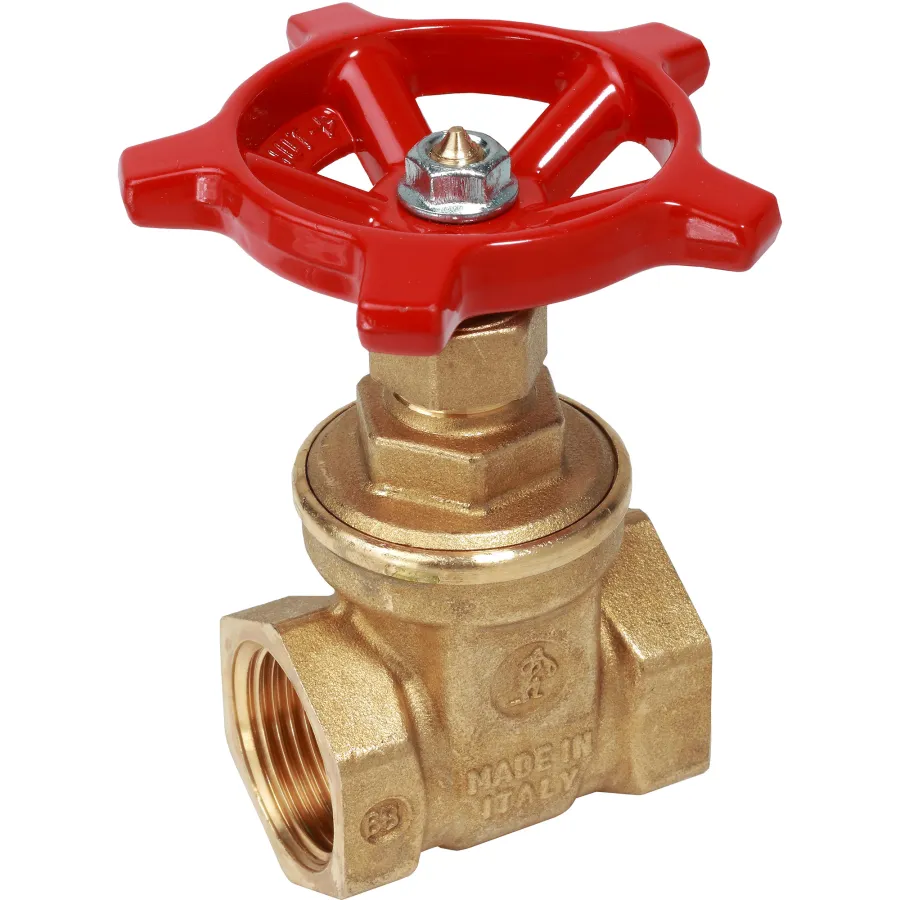 Задвижка Giacomini 1", R55Y005