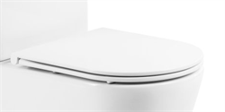 BELBAGNO Flay-R Сиденье дюропластовое с быстросъёмными петлями, механизмом Soft Close - фото 147851