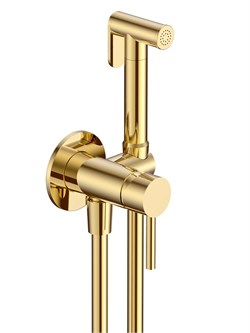 AQUAme Siena Готовый комплект гигиенического душа (скрытый монтаж, латунная лейка), Glossy gold AQM6217GG - фото 305803