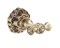 Bronze de Luxe Windsor Двойной крючок, бронза - фото 172226