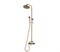 Bronze de Luxe Windsor Комплект для душевой (без излива) душ "Цветок" (10118/1F) - фото 172246