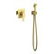 TIMO Torne Смеситель встроенный с гигиеническим душем (4389/17SM), цвет золото матовое - фото 230987