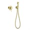 TIMO Saona Смеситель встроенный с гигиеническим душем (2389/17SM), цвет золото матовое - фото 231039