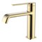 AQUAme Asti Смеситель для раковины однорычажный, Brushed gold AQM6410BG - фото 305566