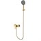 AQUAme Imola Смеситель для душа, с душевым набором, ?120 мм, 3 режима, Brushed gold AQM6713BG - фото 305730
